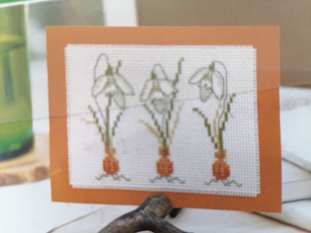 FLORAL POSTCARD - Counted Cross Stitch Magic Kit with Chart, DMC - from Issue 20