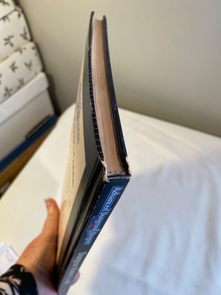 Advanced Dungeons & Dragons 2nd Edition Dungeon Master's Guide 2100