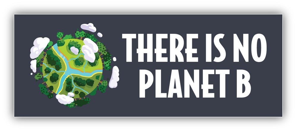 There Is No Planet B Vinyl Sticker Decal