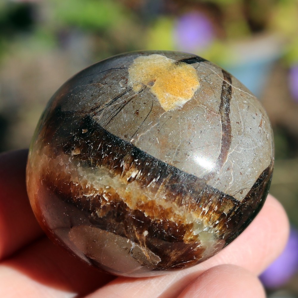 Polished Septarian Nodule (SEP21)