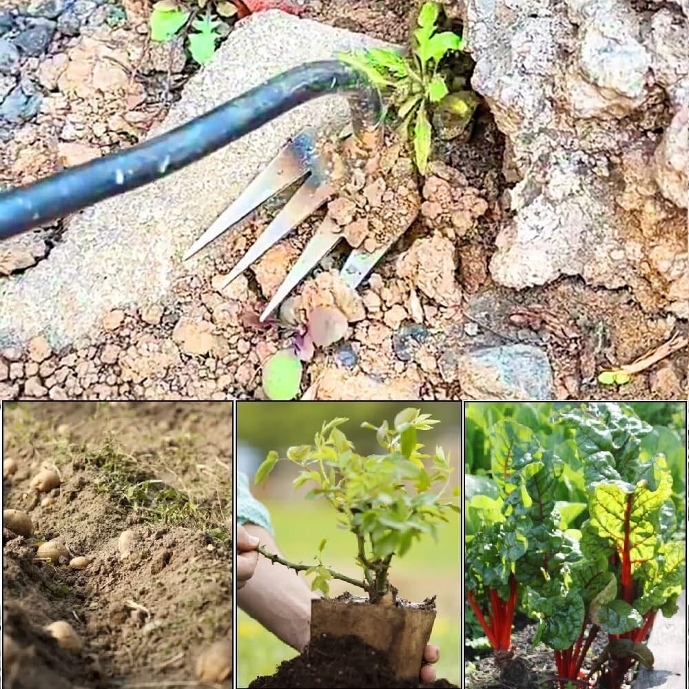 Garden Weeding Tools Artifact Uprooting Weeding, Stainless Dual Purpose Weeder..