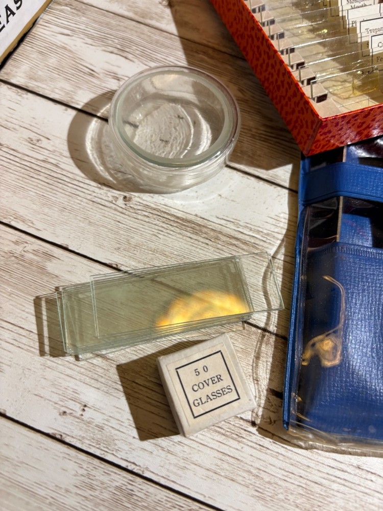 Vintage Sans & Steiffe Microcscope with case, tools and asst slides