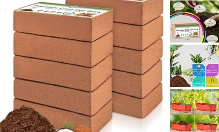 10-Pack Coco Coir Bricks, Organic Coconut Coir Soil for Plants, 10 Pack