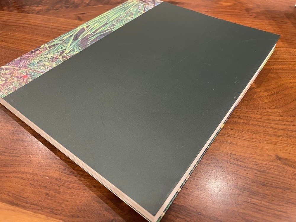 Exhibition Catalog [Picture catalog] John Everett Millais
