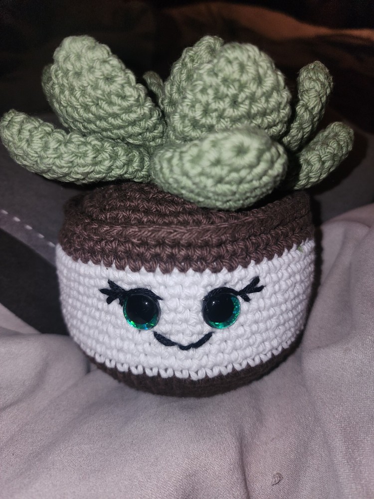 Handmade Succulent