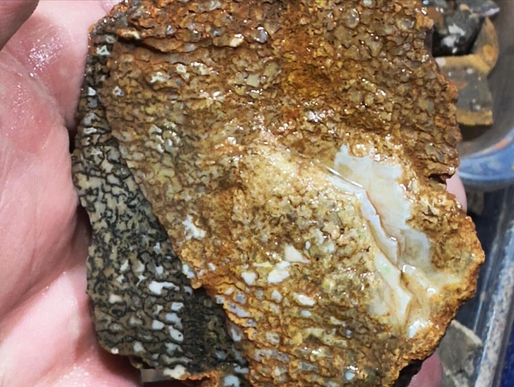 Dinosaur bone rough fortified wash split.