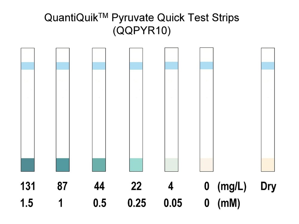 Pyruvate Quick Test Strips