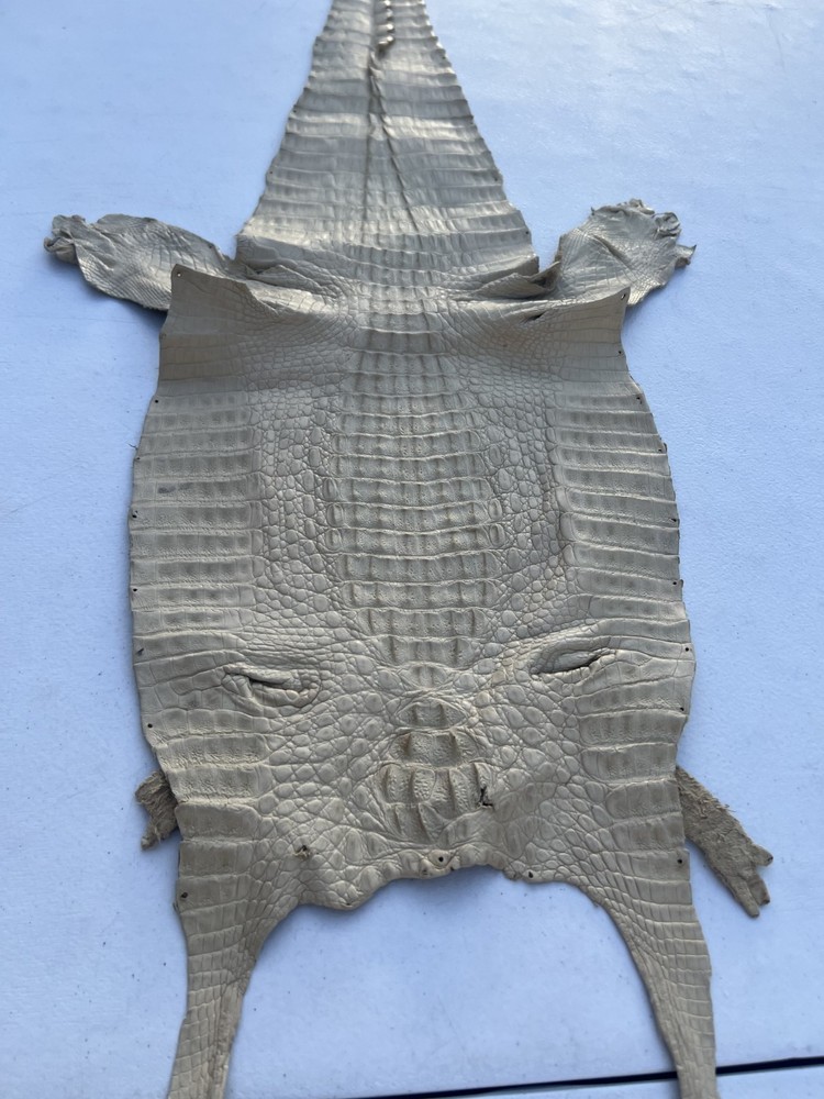 Genuine Crocodile Leather ( Bone Color )