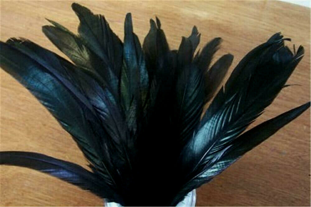 Rooster Coque Tail Feathers - Black - Loose - 20 Pcs. - B Grade - 6" & under