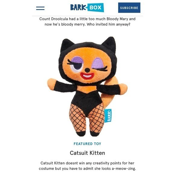 Bark box halloween catsuit kitten