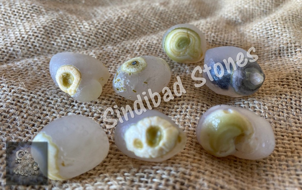 Snake Egg Stone - Snake Gem - snake egg حجر بيض الحية - جوهرة الثعبان - بيض افعى