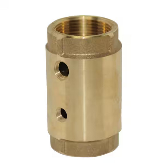 Water Source 1-1/4 in. Two-Hole Control Center Check Valve