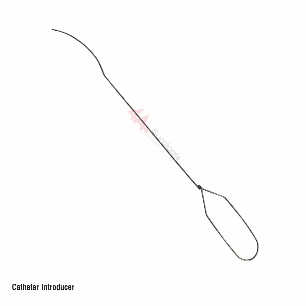4A Catheter Introducer