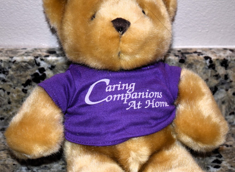 Caring Companion Teddy Bear