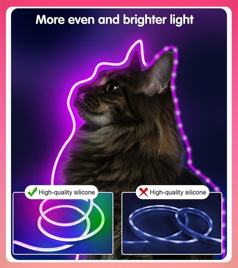 RGBIC Neon Rope Light with Music Sync