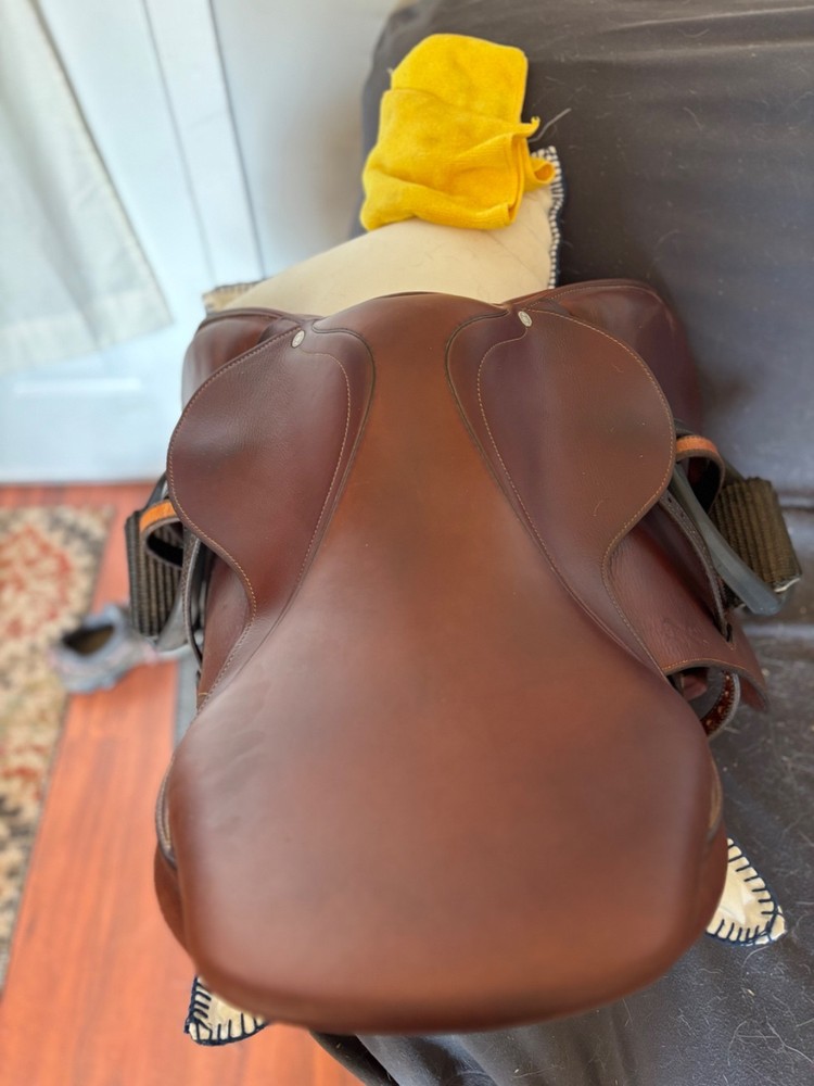 Lightly Used Antares Jumping Saddle 17"