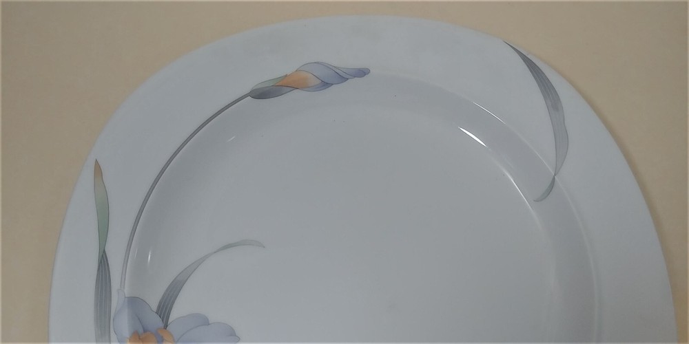 DINNERWARE: Regineby CHRISTOPHER STUART-Dinner Plate 10 5/8 in.