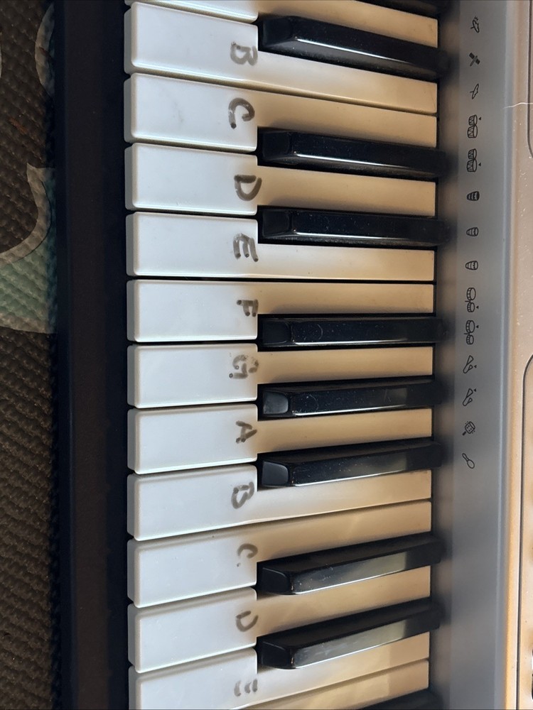 Casio LK-45 Electronic Keyboard Key Lighting System Tested And Works