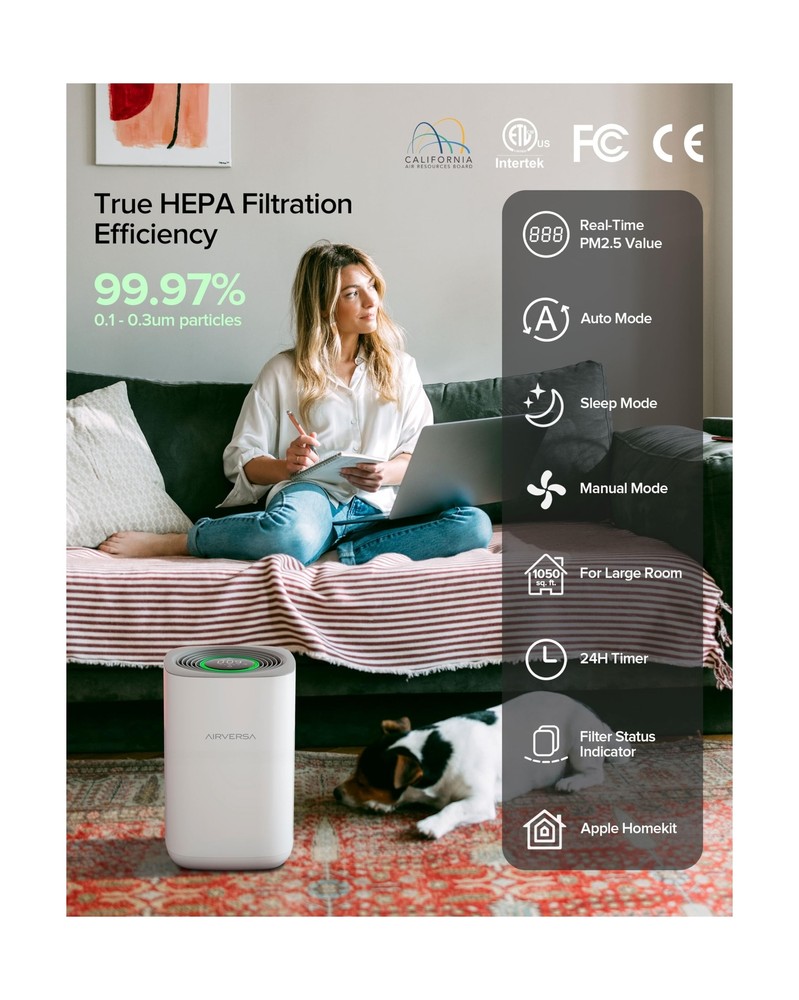 𝗧𝗿𝘂𝗲 𝗛𝗘𝗣𝗔 Air Pu