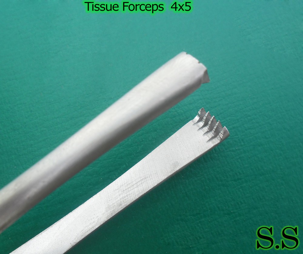 Tissue Forceps 6" Surgical Instruments 4 x 5 Teeth