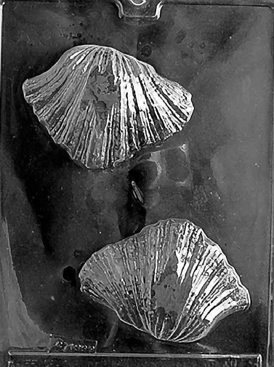 BEAR CLAW SHELL Chocolate Candy Mold - Soap Making ~ BUY 2 GET 1 FREE!