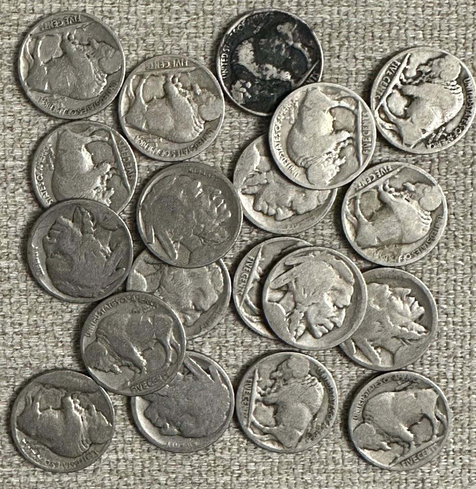 Buffalo Nickel With Unknown Year (1-coin)