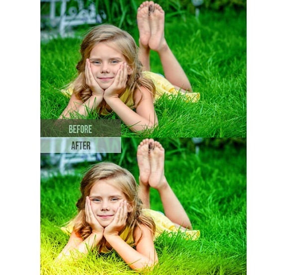 272 Premium Light Leak