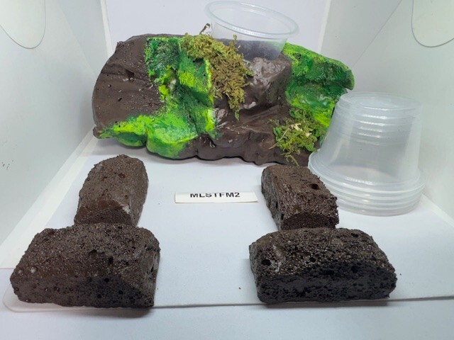 Medium Sub-tropical Magnetic Ledge With 5 Feeder Cups