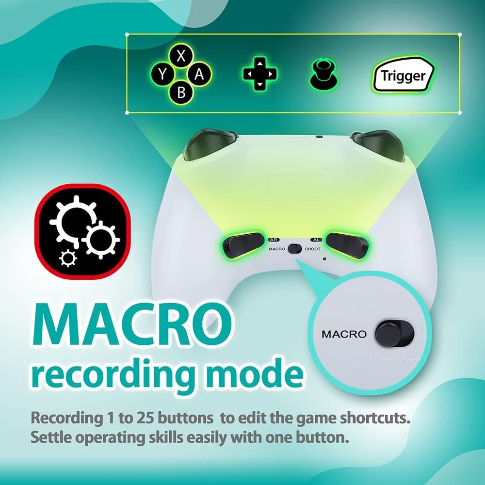 Brook Gaming: Vivid Wireless Controller for Switch