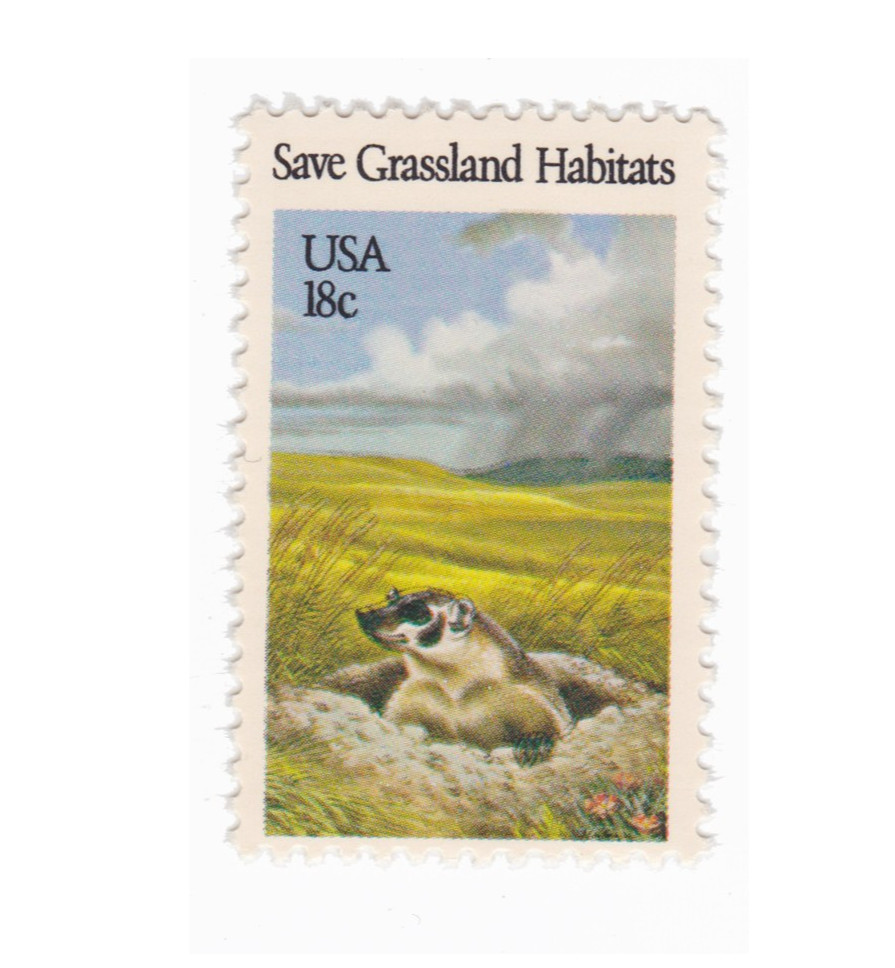 1981 18c Badger MNH - Single Stamp - US Scott #1922