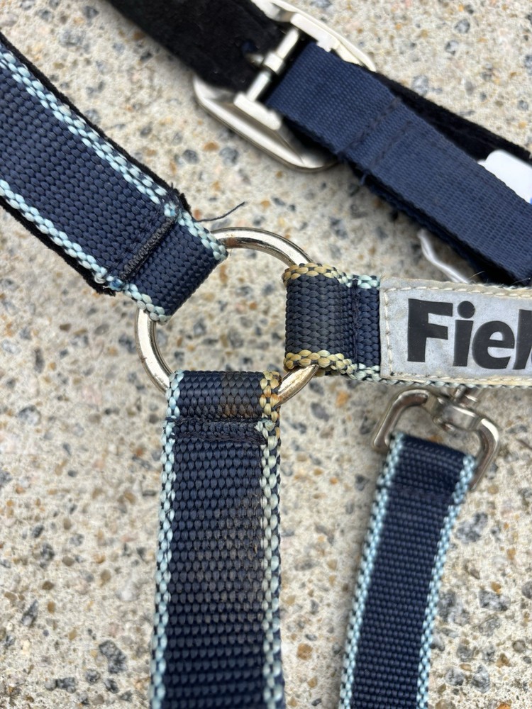 Field Safe Cob Size Halter - Breakaway/Reflective