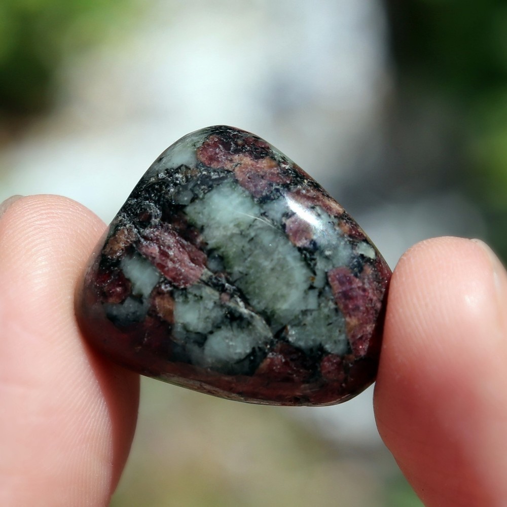 Polished Eudialyte (EUD42)