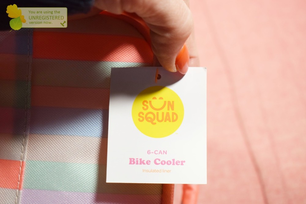Sun Squad 6 Can Soft Sided Striped Bike Cooler