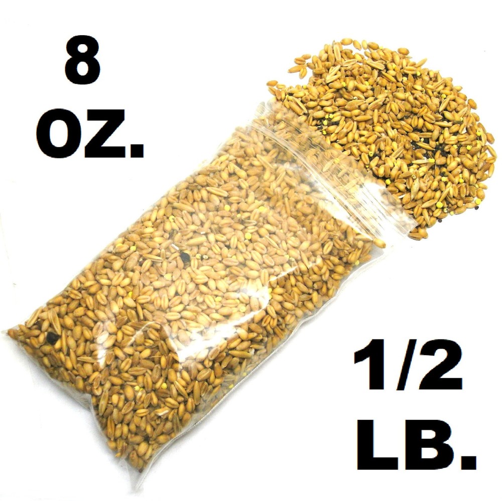 BULK BAGS EVOLVED HARVEST HUNTER SERIES MEGA PLOT DEER FORAGE FOOD PLOT SEED