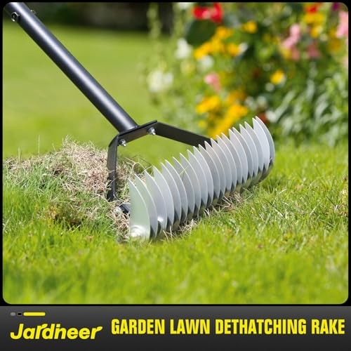 Thatch Rake for Lawns, 61.4" Long Handle Manual Dethatcher with Adjustable