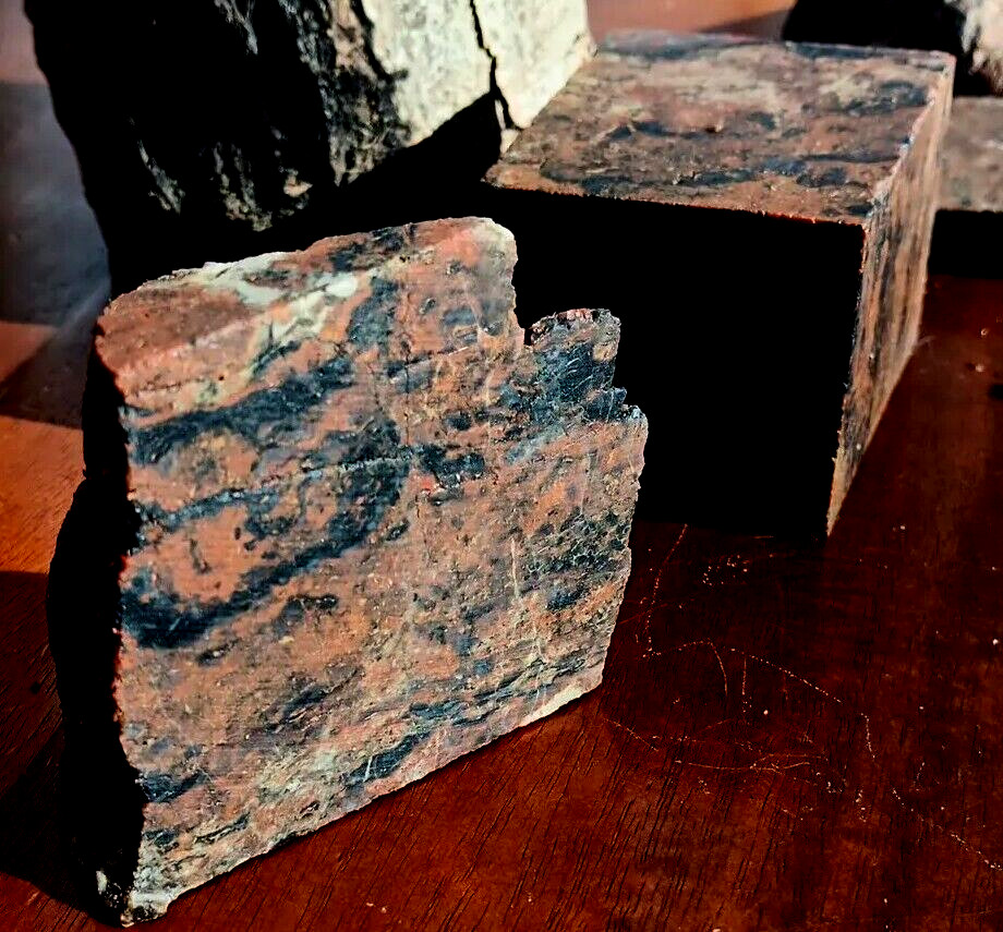 Volcanic Petrified Wood Limb Casting End Cut From Cube Utah See Cube In Store