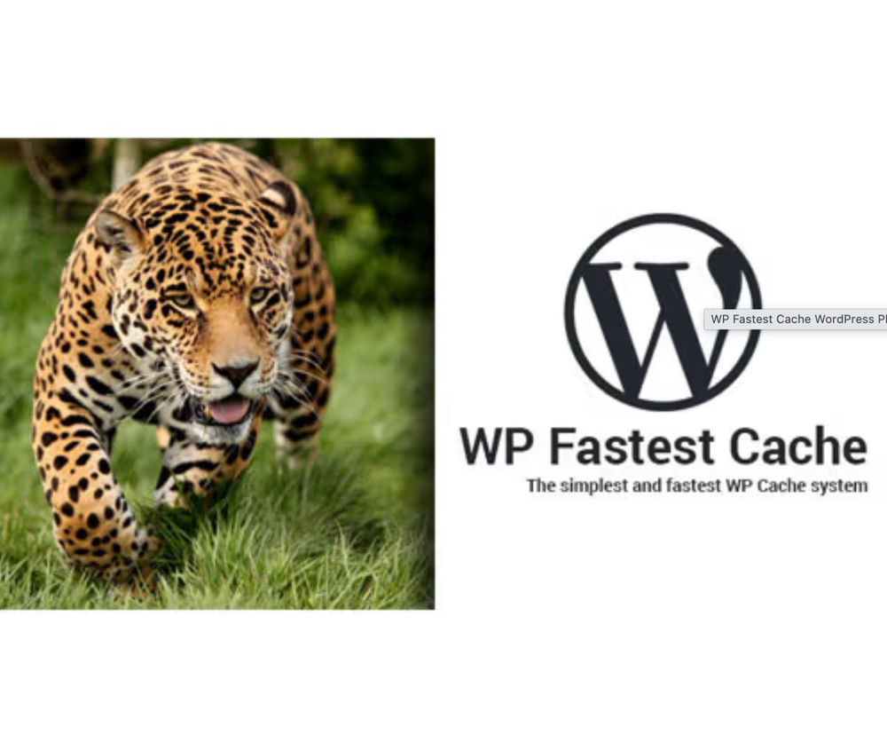 WP Fastest Cache Premium Plugin WordPress Speed Optimization | GPL | Updates
