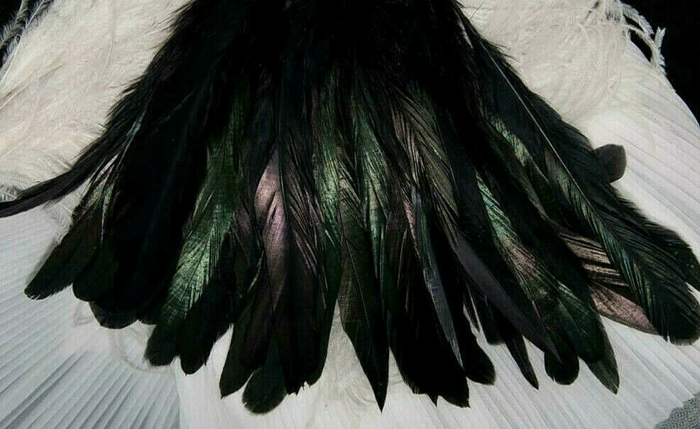 Rooster Coque Tail Feathers - Black - Loose - 20 Pcs. - B Grade - 6" & under
