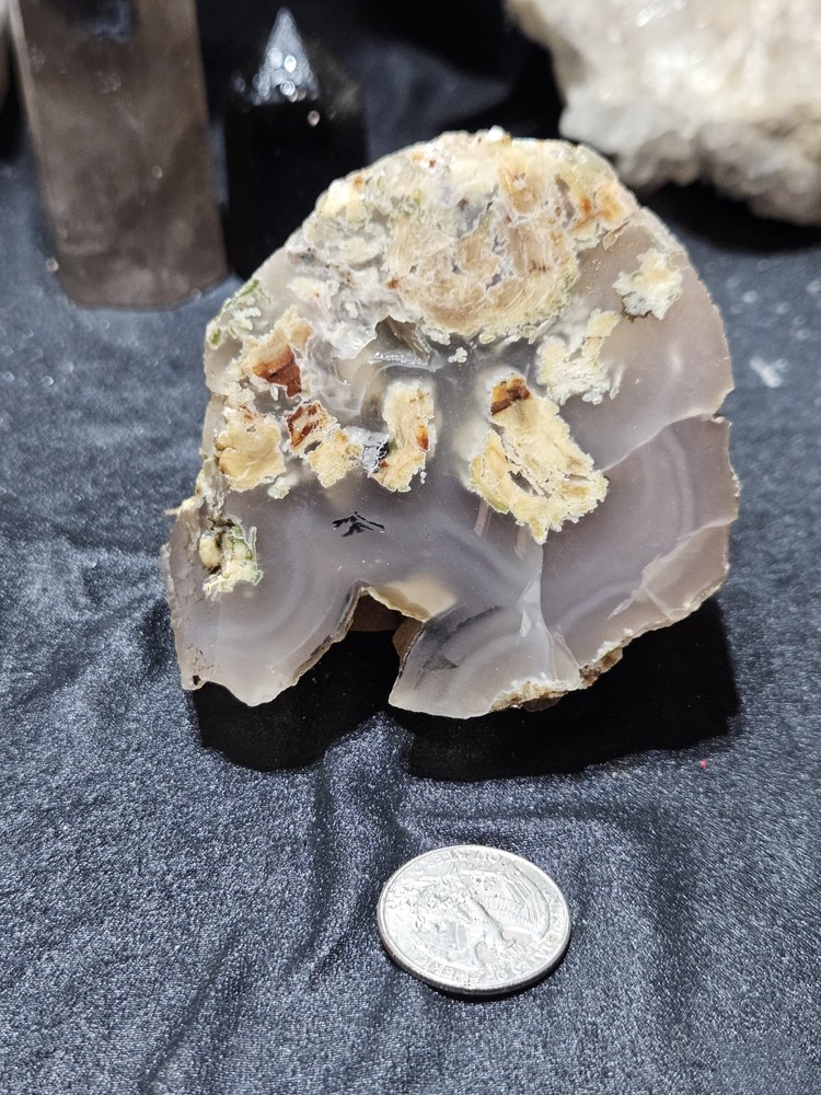 Pink Limb Cast w/ Opal & Dendric Specimen (15oz)