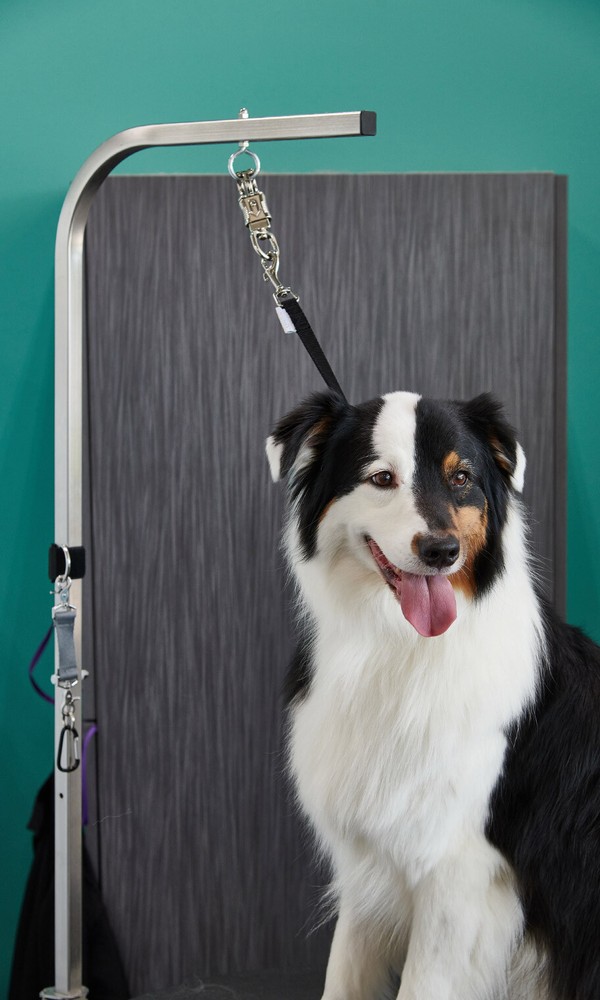 Groomer Essentials Quick Release Loop - Black