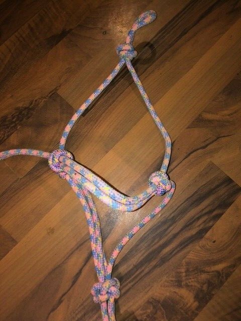 2 KNOTTED TRAINING HALTERS WITH LEAD LINES