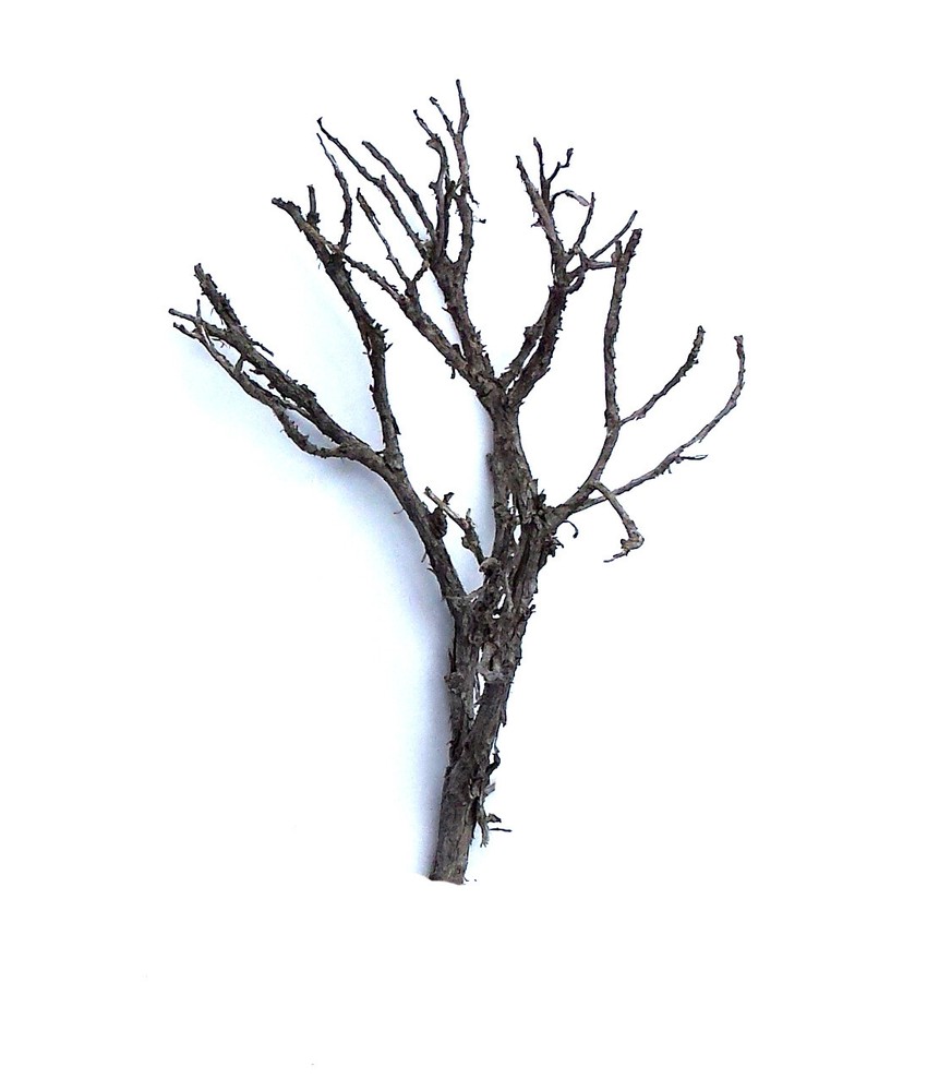 6+ 10" SAGEBRUSH ARMATURES Deciduous Model Train Scenery Trees O Scale Wargaming