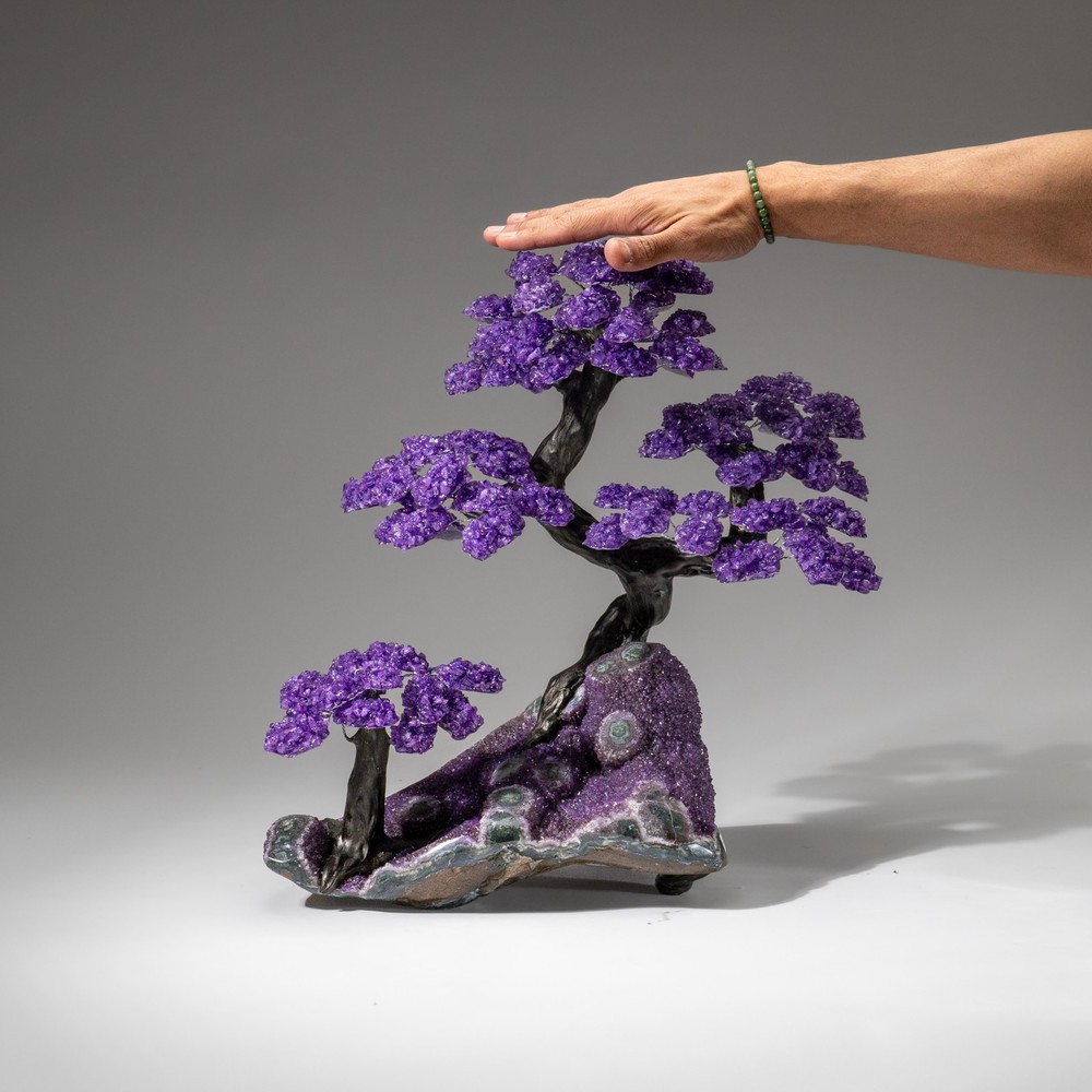 Custom Designed - Genuine Amethyst Clustered Gemstone Tree on Amethyst Matrix
