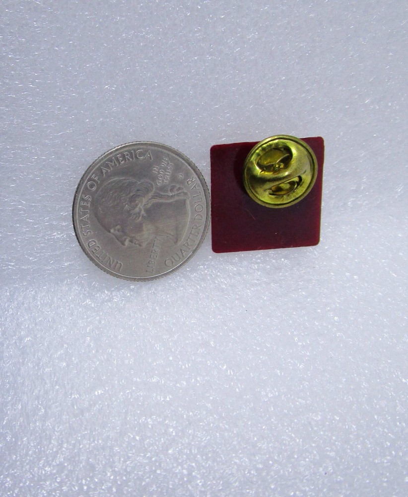 Maximizer Plastic Pin