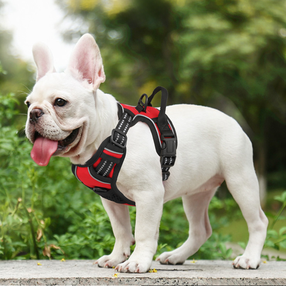 Soft No Pull Dog Pet Harness Reflective Strips Breathable Mesh Vest Red w/Handle
