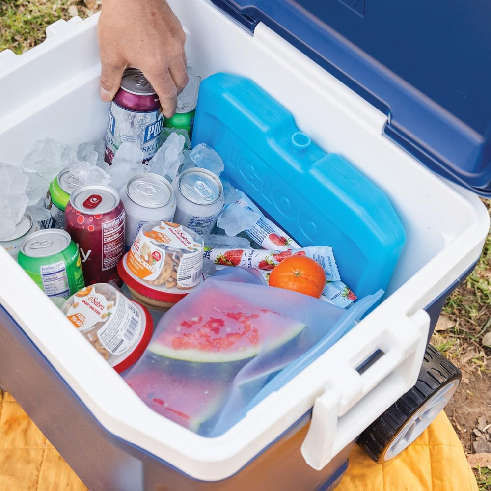 Maxcold Ice Block