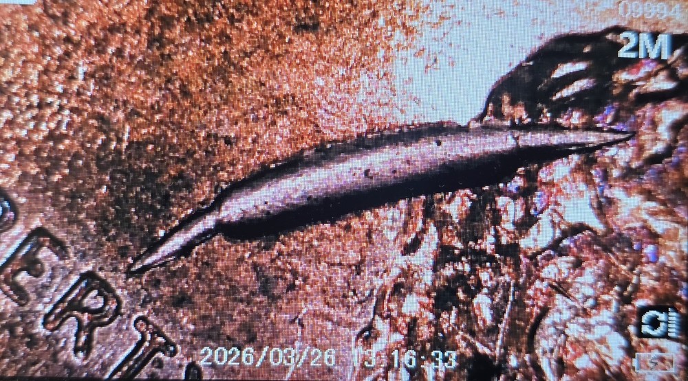 2010 Lincoln Shield Cent 💥Large Retained Strike Through Obverse Mint Error💥