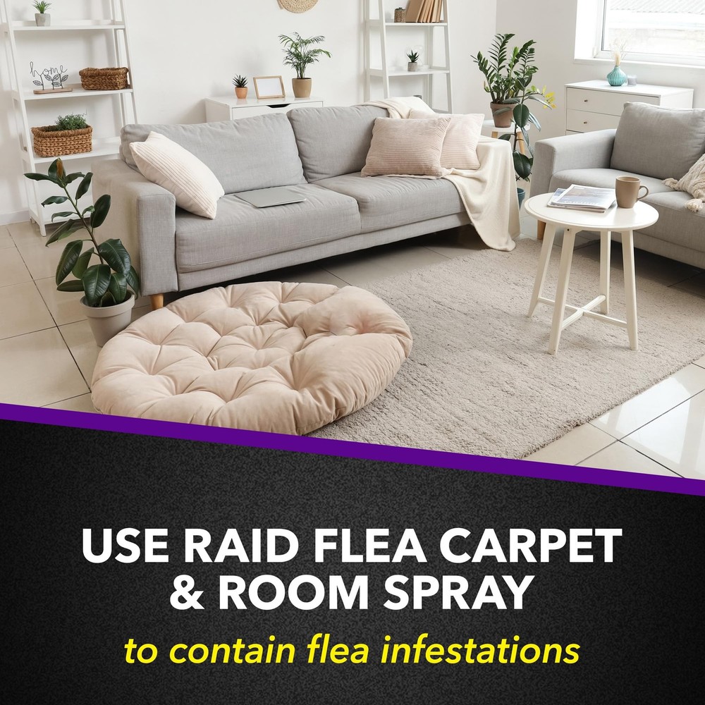 Raid Flea Killer Carpet & Room Spray, Kills hatching eggs for up to 4 months,...
