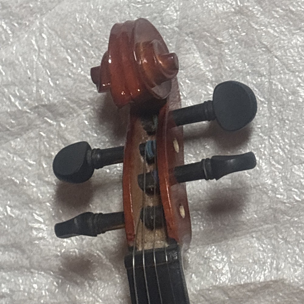 Violin