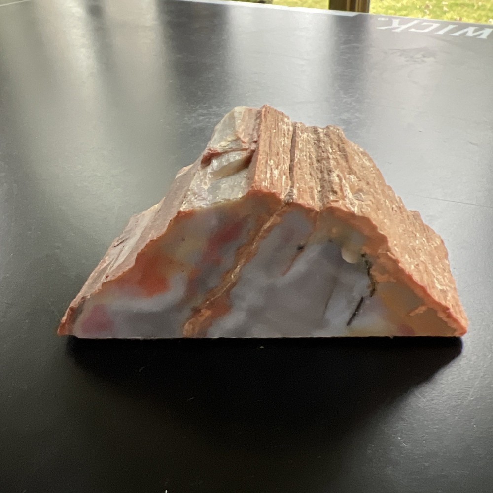 petrified wood slab Polished